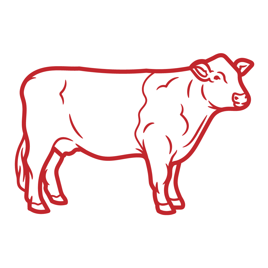 graphic of cattle